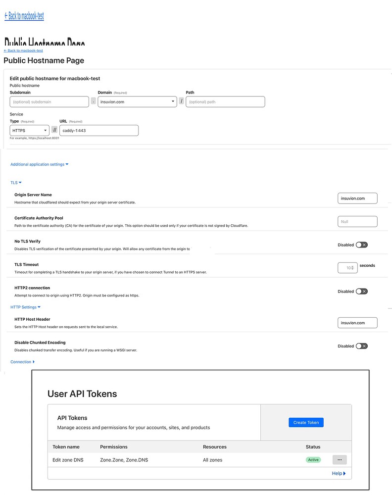 Cloudflare Tunnels and Caddy DNS Cloudflare Help Caddy Community