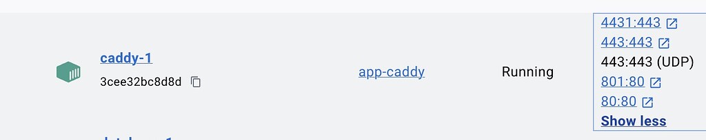 How can I use different ports? - Help - Caddy Community