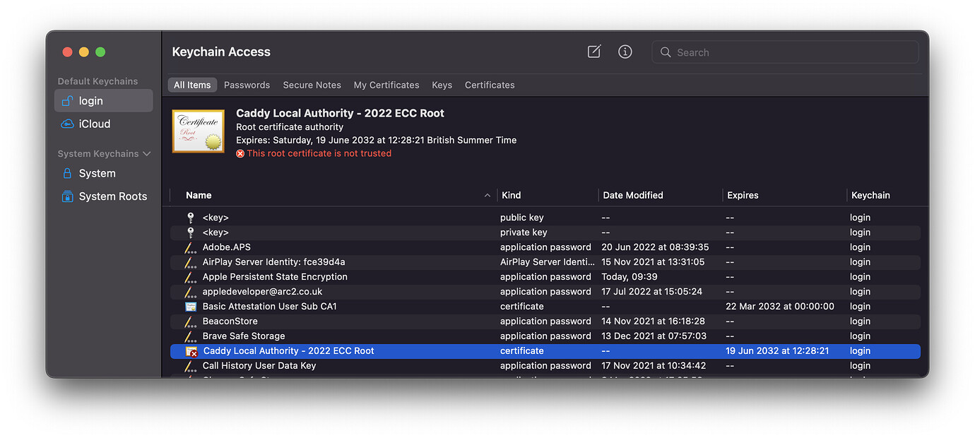 How to get dockerised Caddy to use selfsigned certs for