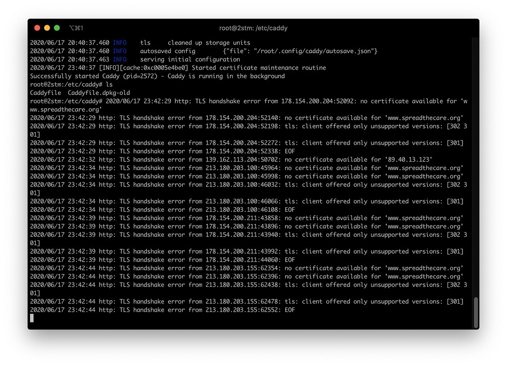 Caddy V2: TLS Handshake - Help - Caddy Community